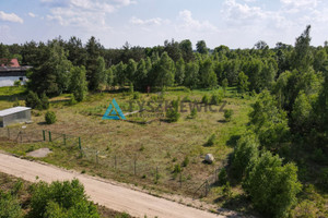 Działka na sprzedaż 3543m2 starogardzki Kaliska Frank Brzozowa - zdjęcie 2