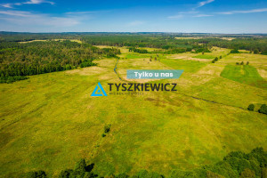 Działka na sprzedaż 9200m2 bytowski Trzebielino Poborowo - zdjęcie 1