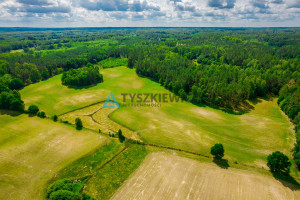 Działka na sprzedaż 79336m2 bytowski Miastko Olszewiec - zdjęcie 2