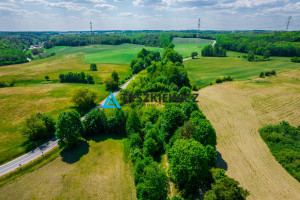 Działka na sprzedaż 6100m2 bytowski Tuchomie - zdjęcie 1