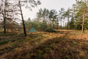 Działka na sprzedaż 1174m2 wejherowski Linia Zakrzewo - zdjęcie 3