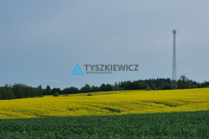 Działka na sprzedaż 44200m2 gdański Trąbki Wielkie Mierzeszyn - zdjęcie 3