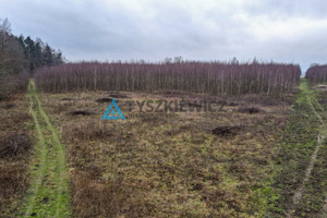 Działka na sprzedaż 3120m2 kartuski Somonino Borcz - zdjęcie 3