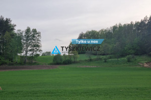 Działka na sprzedaż 115200m2 gdański Trąbki Wielkie Mierzeszyn - zdjęcie 1