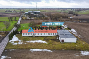 Komercyjne na sprzedaż 9415m2 tczewski Pelplin Rożental - zdjęcie 1