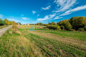 Działka na sprzedaż 4000m2 kościerski Nowa Karczma Śledziowa Huta - zdjęcie 3