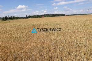 Działka na sprzedaż 105064m2 sztumski Sztum Koniecwałd - zdjęcie 1