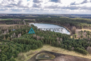 Działka na sprzedaż 3000m2 wejherowski Linia Zakrzewo - zdjęcie 2