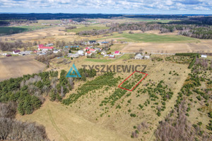 Działka na sprzedaż 3000m2 wejherowski Linia Zakrzewo - zdjęcie 3