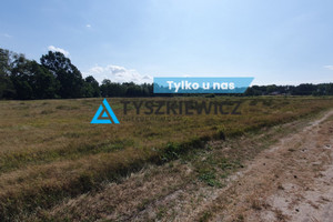 Działka na sprzedaż 5490m2 słupski Smołdzino Smołdziński Las - zdjęcie 1