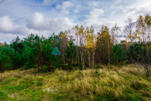 Działka na sprzedaż 2282m2 kartuski Stężyca Gołubie - zdjęcie 3