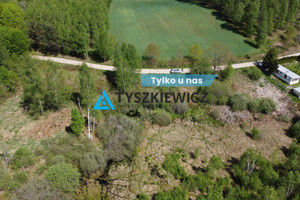 Działka na sprzedaż 17300m2 bytowski Tuchomie Trzebiatkowa - zdjęcie 1