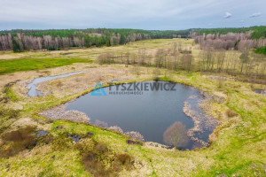 Działka na sprzedaż 59900m2 bytowski Trzebielino Zielin - zdjęcie 3