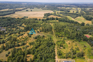 Działka na sprzedaż gdański Trąbki Wielkie Czerniewo - zdjęcie 2