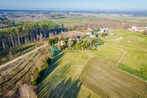 Działka na sprzedaż 2779m2 chojnicki Brusy Leśno-Wybudowanie - zdjęcie 2