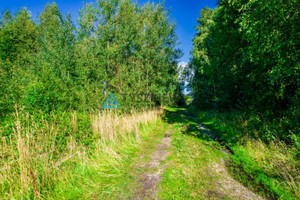 Działka na sprzedaż 875m2 pucki Krokowa Dębki - zdjęcie 3