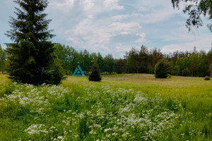 Działka na sprzedaż 13199m2 kościerski Stara Kiszewa Leśna - zdjęcie 2