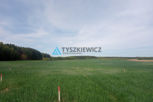 Działka na sprzedaż 1037m2 starogardzki Kaliska Dąbrowa - zdjęcie 2