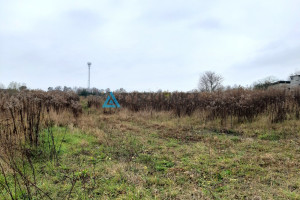 Działka na sprzedaż 3000m2 starogardzki Zblewo Pałubińska - zdjęcie 2