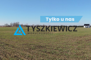 Działka na sprzedaż 48900m2 malborski Malbork Kałdowo - zdjęcie 1