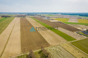 Działka na sprzedaż 60000m2 słupski Damnica Stara Dąbrowa - zdjęcie 3