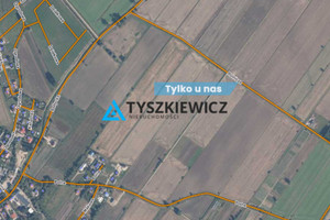 Działka na sprzedaż 33882m2 gdański Pruszcz Gdański Rokitnica Polna - zdjęcie 1