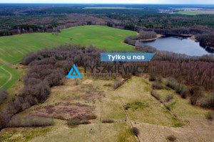 Działka na sprzedaż 13119m2 bytowski Miastko - zdjęcie 1