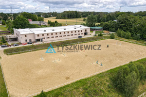 Komercyjne na sprzedaż 60000m2 kartuski Przodkowo Czeczewo Dębowa - zdjęcie 2