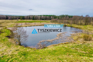 Działka na sprzedaż 59900m2 bytowski Trzebielino Zielin - zdjęcie 1