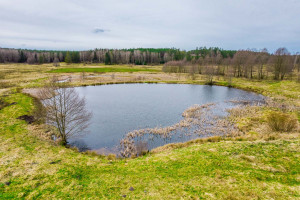 Działka na sprzedaż 59900m2 bytowski Trzebielino Zielin - zdjęcie 1