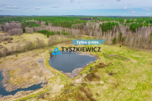 Działka na sprzedaż 59900m2 bytowski Trzebielino Zielin - zdjęcie 1