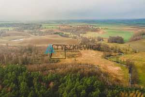 Działka na sprzedaż 7500m2 kościerski Stara Kiszewa Górne Maliki - zdjęcie 3