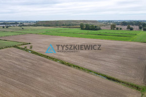 Działka na sprzedaż 68500m2 gdański Pruszcz Gdański Wiślinka Polna - zdjęcie 3