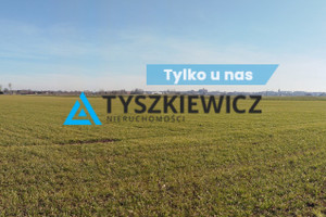 Działka na sprzedaż 40300m2 malborski Malbork Kałdowo - zdjęcie 1