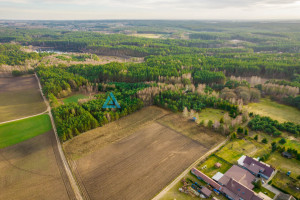 Działka na sprzedaż kościerski Stara Kiszewa Lipy - zdjęcie 2