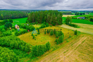 Działka na sprzedaż 3013m2 kościerski Nowa Karczma Stary Barkoczyn - zdjęcie 2