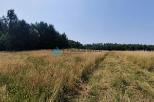 Działka na sprzedaż 3390m2 lęborski Cewice Krępkowice - zdjęcie 2