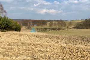 Działka na sprzedaż 1852m2 kościerski Stara Kiszewa Nowe Polaszki - zdjęcie 3