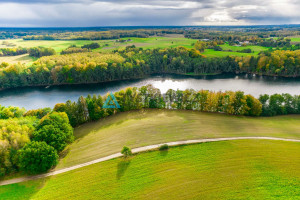 Działka na sprzedaż 9500m2 bytowski Miastko Dolsko - zdjęcie 2