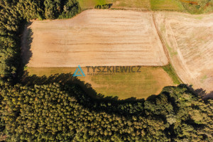 Działka na sprzedaż 6500m2 gdański Trąbki Wielkie Ełganowo Macierzy Szkolnej - zdjęcie 3