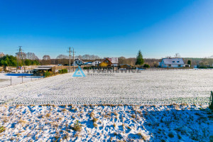 Działka na sprzedaż 1508m2 tucholski Lubiewo Płazowo - zdjęcie 3