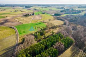 Działka na sprzedaż chojnicki Czersk Nowe Prusy - zdjęcie 3