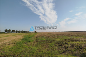 Działka na sprzedaż 18800m2 malborski Miłoradz - zdjęcie 4