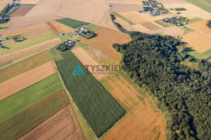 Działka na sprzedaż 3090m2 pucki Krokowa Lisewo Leśna - zdjęcie 3