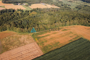 Działka na sprzedaż 3090m2 pucki Krokowa Lisewo Leśna - zdjęcie 3