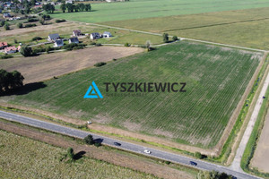 Działka na sprzedaż 4262m2 gdański Pruszcz Gdański Rokitnica Ogrodowa - zdjęcie 1