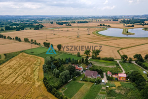 Działka na sprzedaż 19676m2 gdański Pruszcz Gdański Krępiec - zdjęcie 2