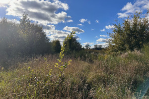 Działka na sprzedaż 1093m2 wejherowski Szemud Warzno - zdjęcie 1