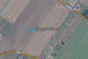 Działka na sprzedaż 33882m2 gdański Pruszcz Gdański Rokitnica Polna - zdjęcie 3