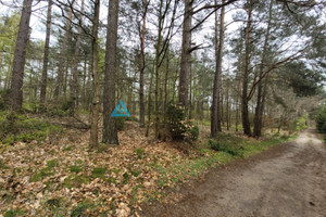 Działka na sprzedaż 6272m2 kartuski Sulęczyno Borek Kamienny - zdjęcie 2